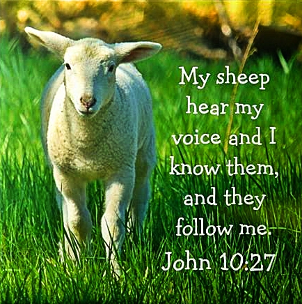 My Sheep Hear My Voice - Spirit Music Meet-Ups